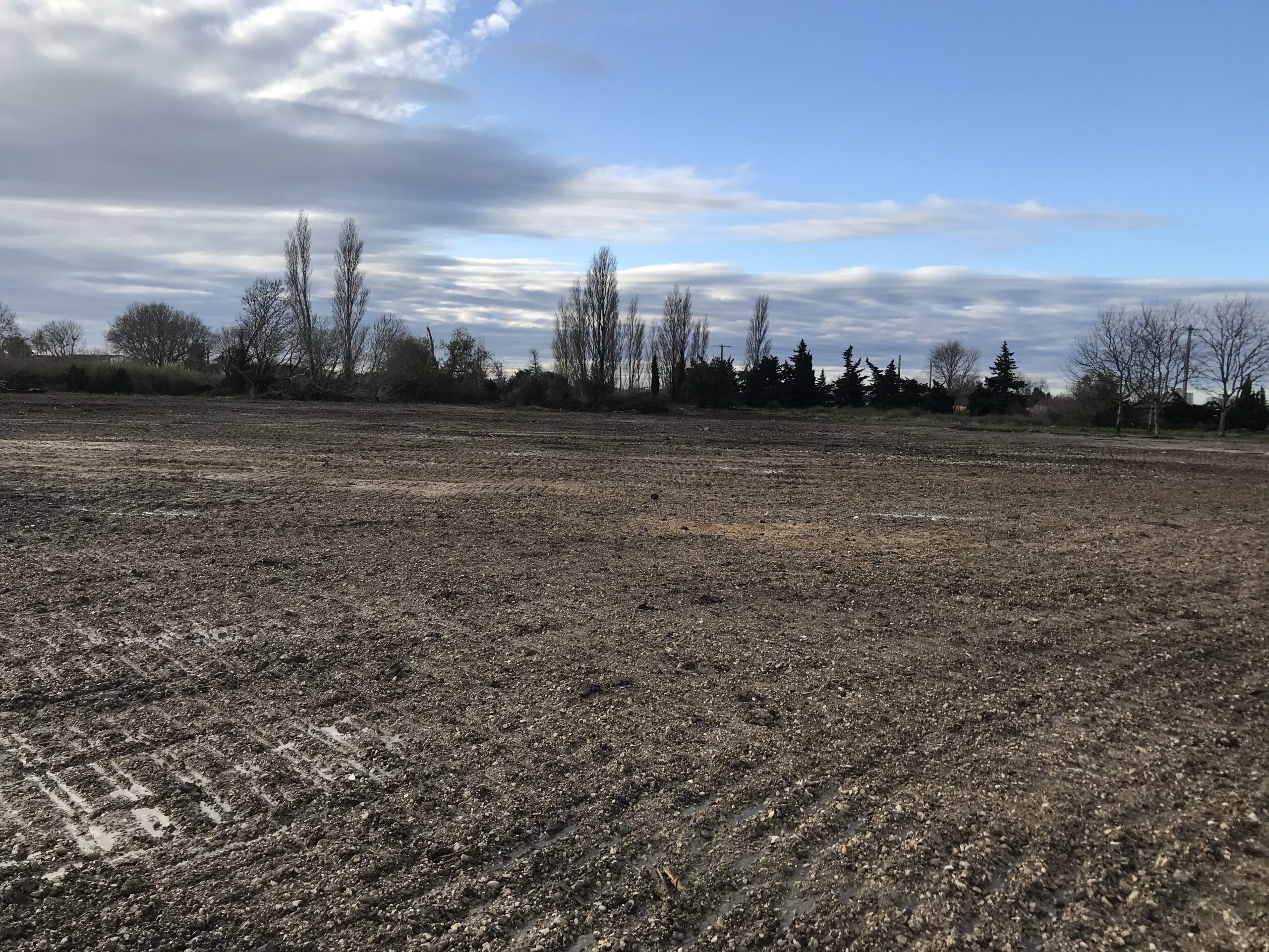 50 hectares de foncier disponibles